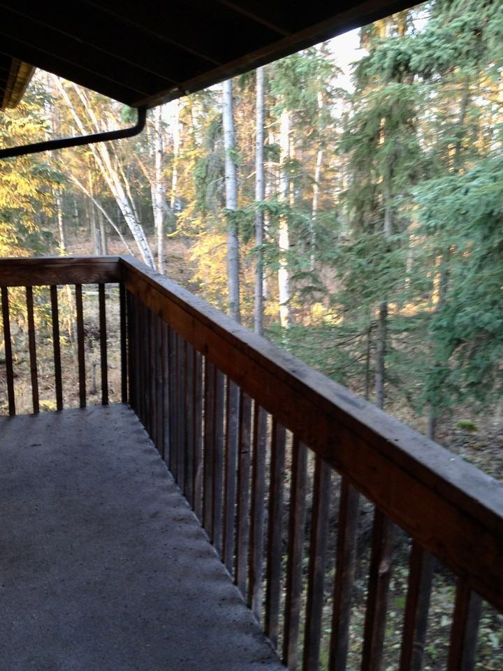 Freshly Renovated - Photo 6 of 13