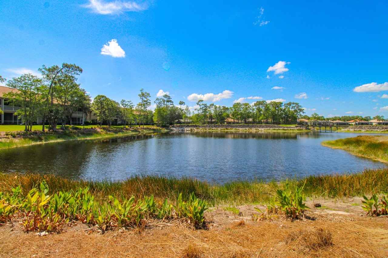 8488 Radcliffe Ter #104 - Photo 4 of 50