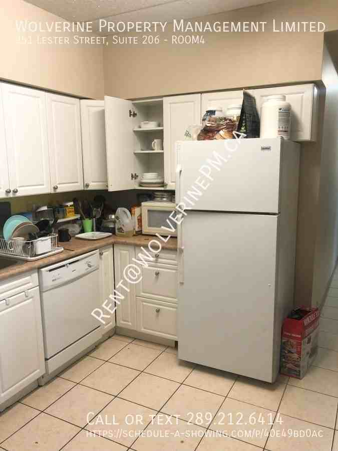 251 Lester Street #4 - Photo 2 of 7