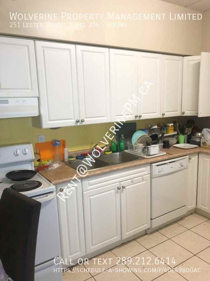 251 Lester Street #4 - Photo 3 of 7