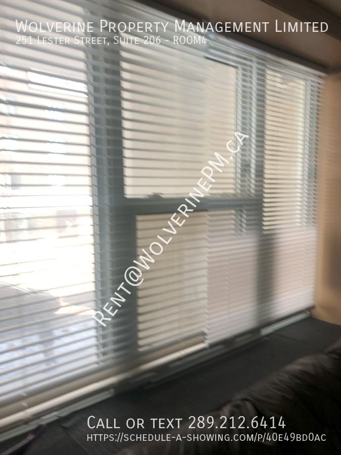 251 Lester Street #4 - Photo 4 of 7