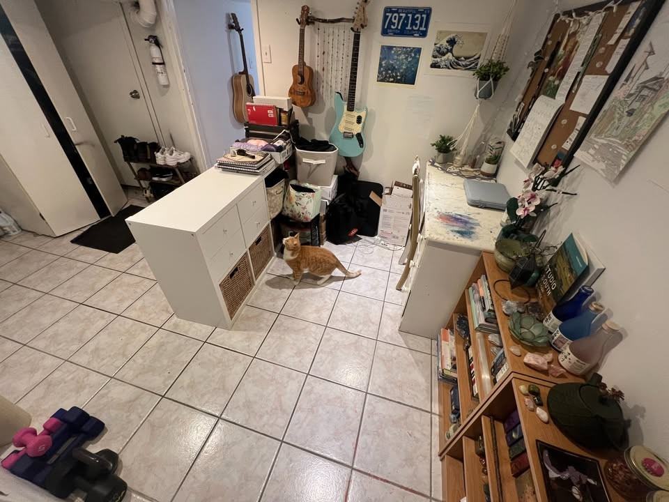 482 Crawford Street - Photo 5 of 19