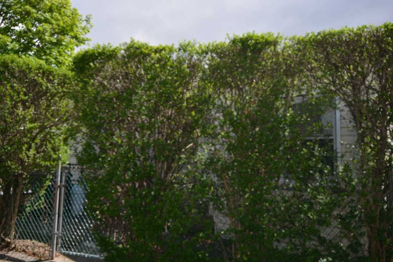 52 Church St - Photo 2 of 22