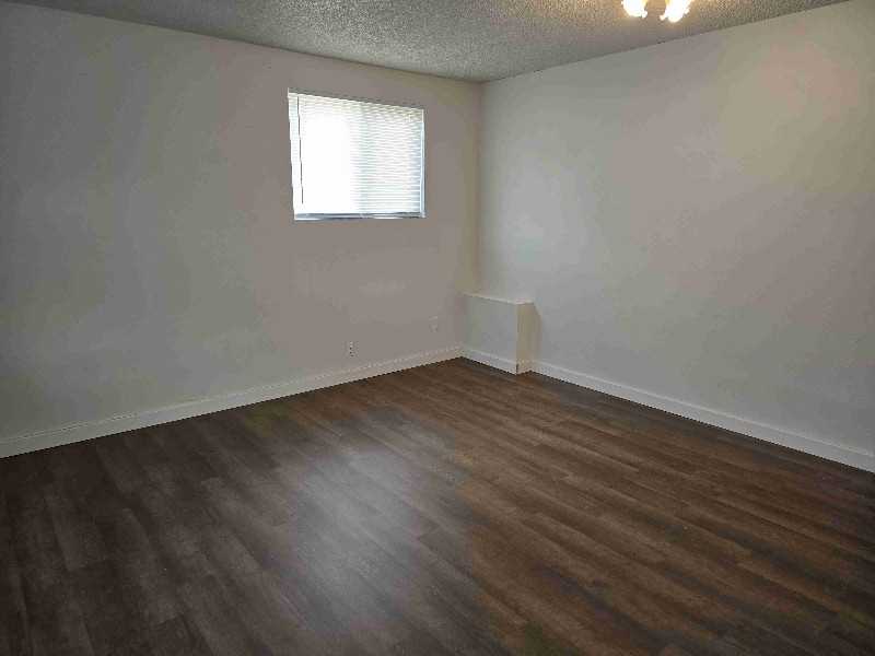 673 Whittle Ln - Photo 6 of 19