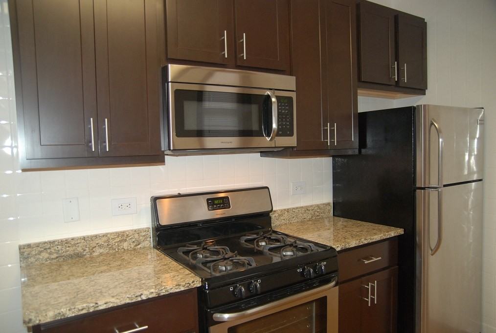 1535 W. Addison - Photo 6 of 50