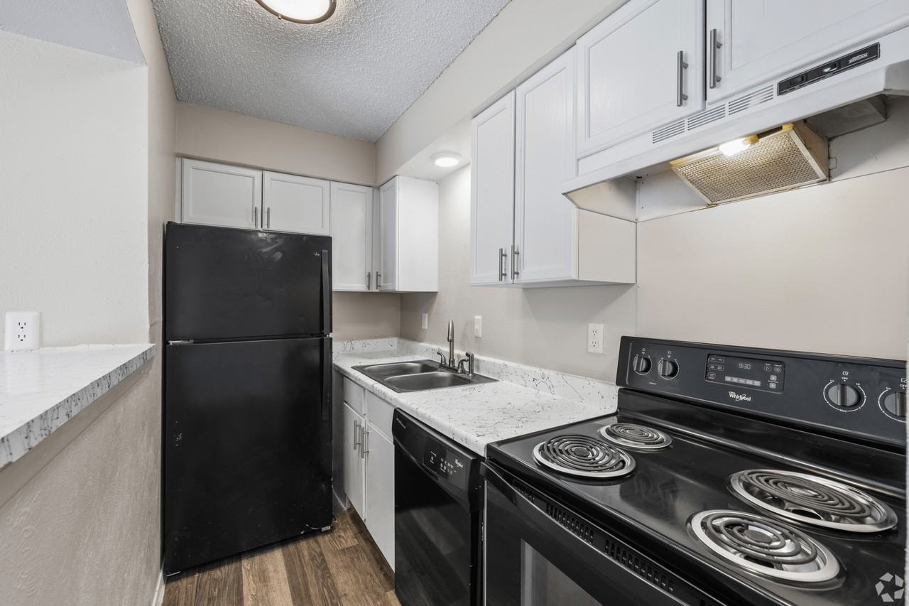 Caden - Photo 2 of 13