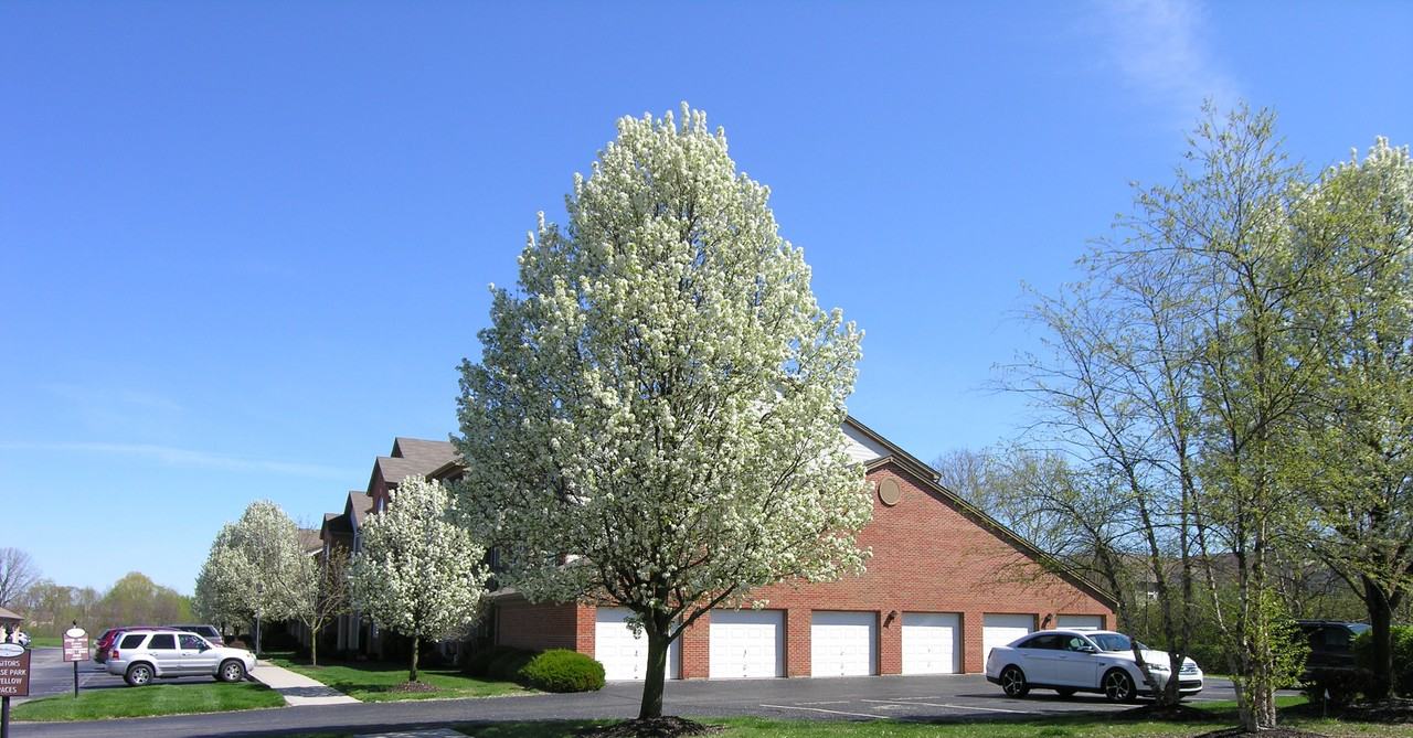 8921 Hunters Creek Dr #207 - Photo 3 of 17