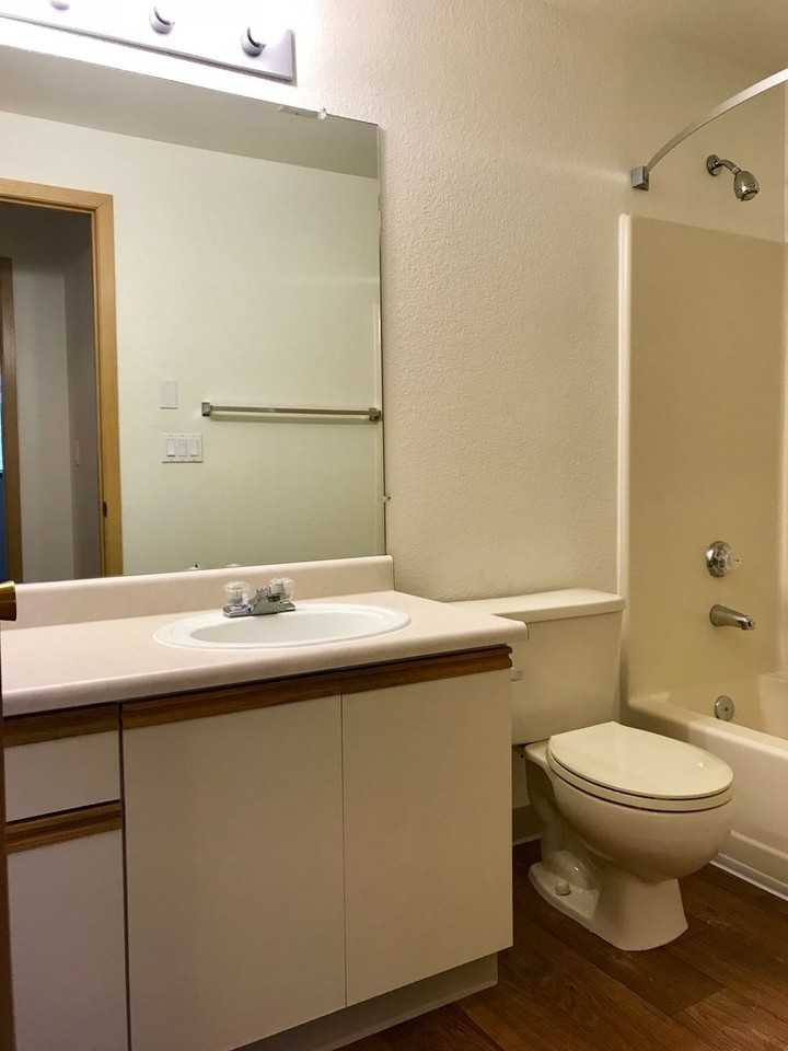 Oakridge - Photo 6 of 45