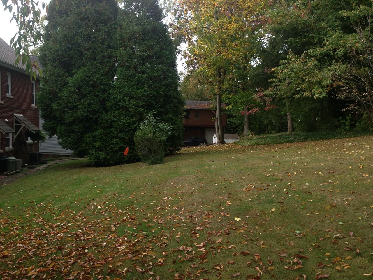 624 Beech Ave - Photo 2 of 21