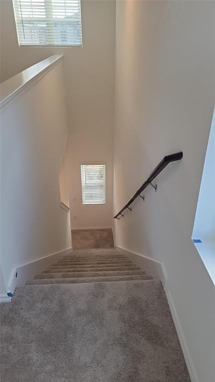 2416 Castlebar Dr - Photo 7 of 10