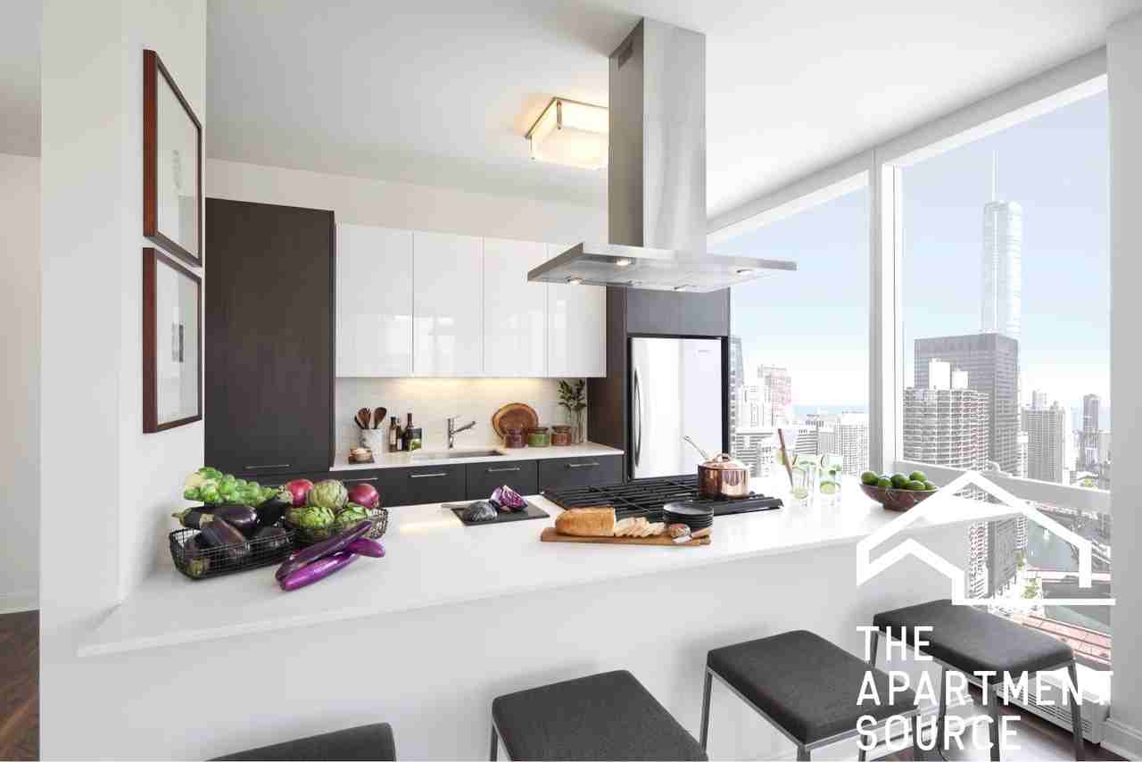 111 W Wacker Dr #2BD2BATH - Photo 4 of 50