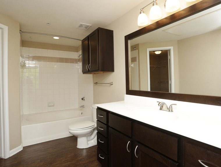 10498 Fountain Lake Circle #212.25 - Photo 5 of 10