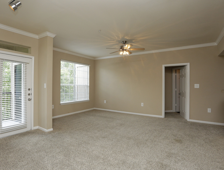 10498 Fountain Lake Circle #212.25 - Photo 6 of 10