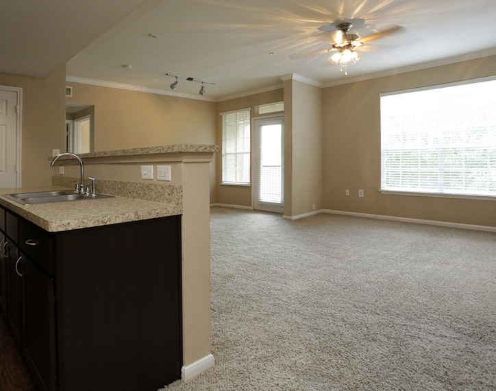 10498 Fountain Lake Circle #212.25 - Photo 7 of 10