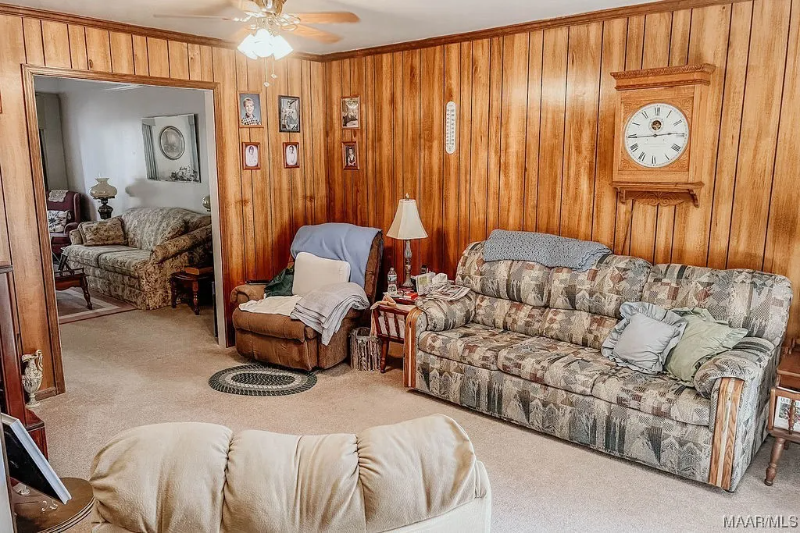 3522 Carter Hill Rd - Photo 3 of 13