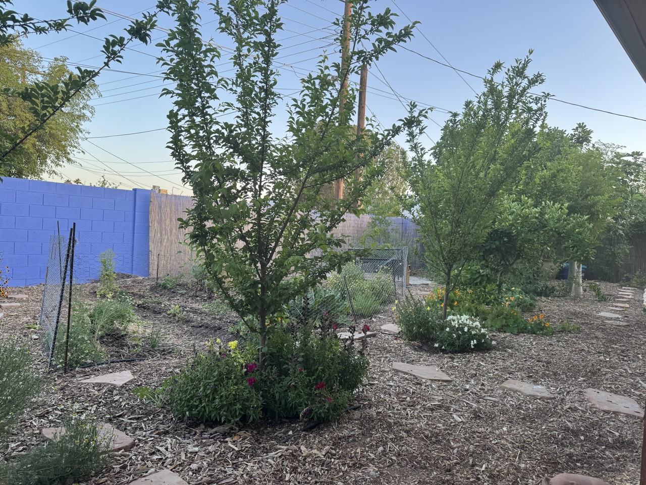 8243 E Monte Vista Rd #NA - Photo 2 of 8