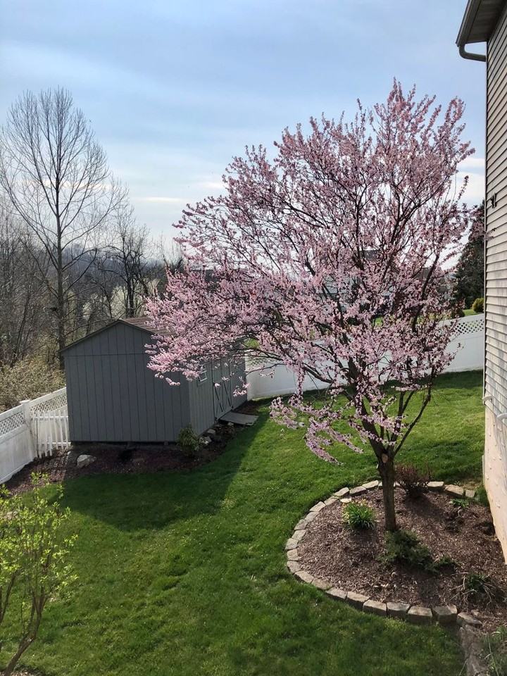 19 Hideaway Ct - Photo 3 of 19