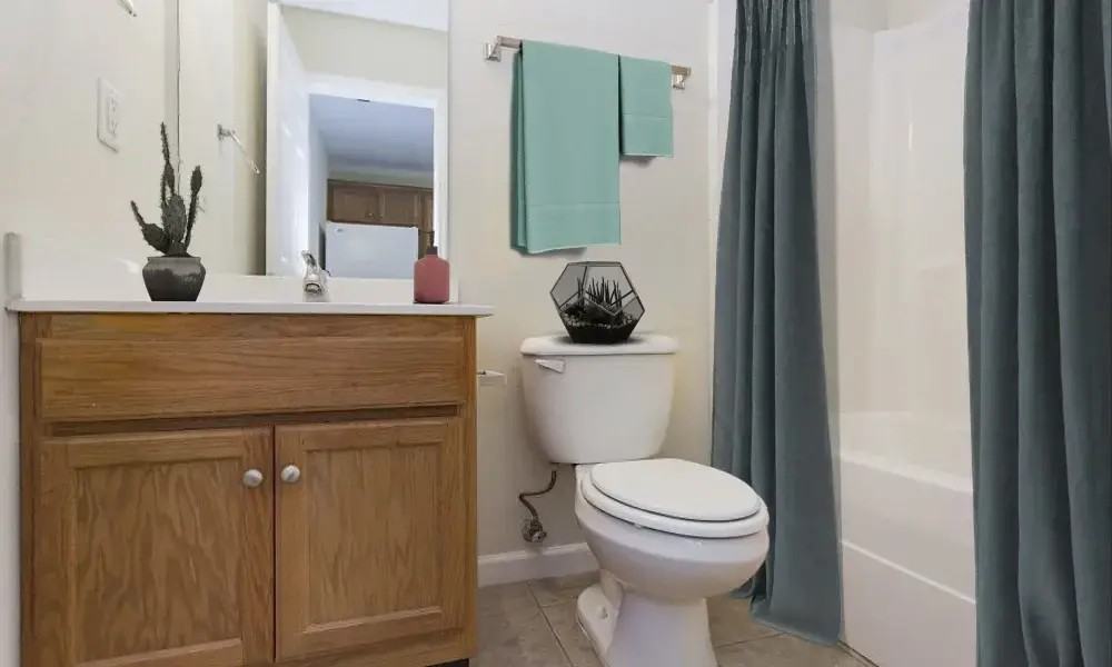 Home Place Apartments - Photo 4 of 46