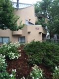 701 Pearl Street, #5 - Photo 1 of 1