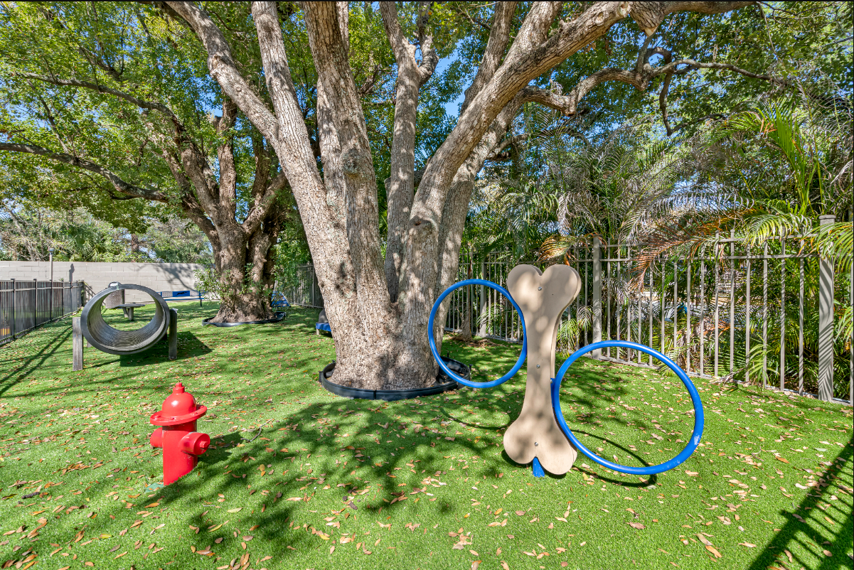 4939 East Busch Boulevard - Photo 3 of 7