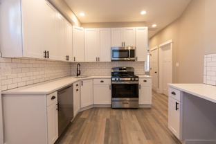 PF-ARG, 2850 W Barry Series - Photo 1 of 1