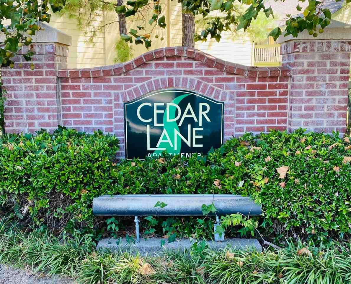 Cedar Lane Apartments - Photo 3 of 22