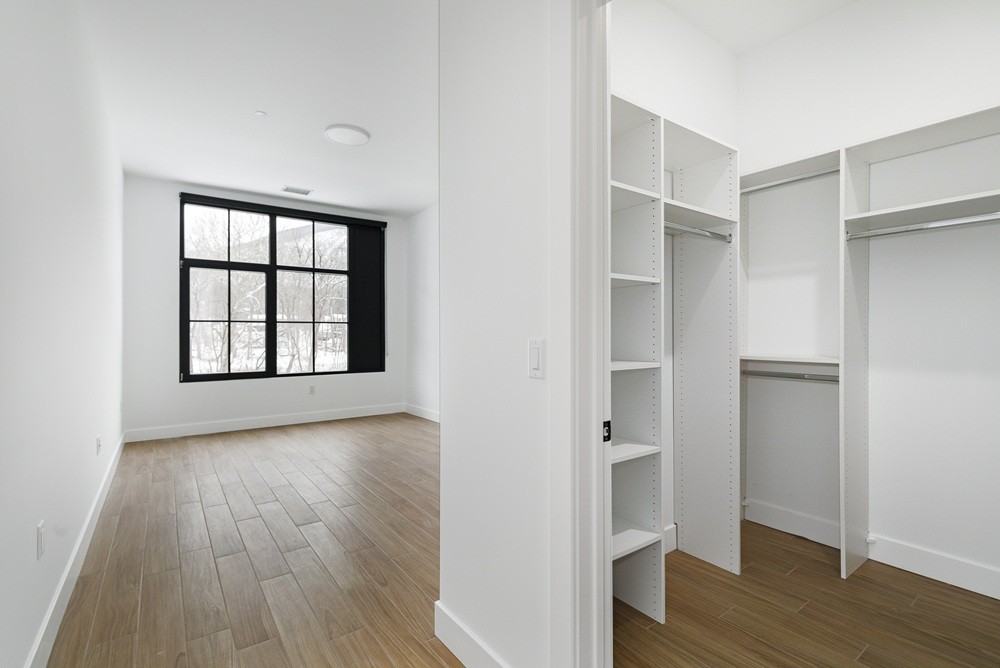 The Arno - Photo 4 of 50