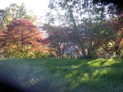 149 Crestview Hts - Photo 4 of 19