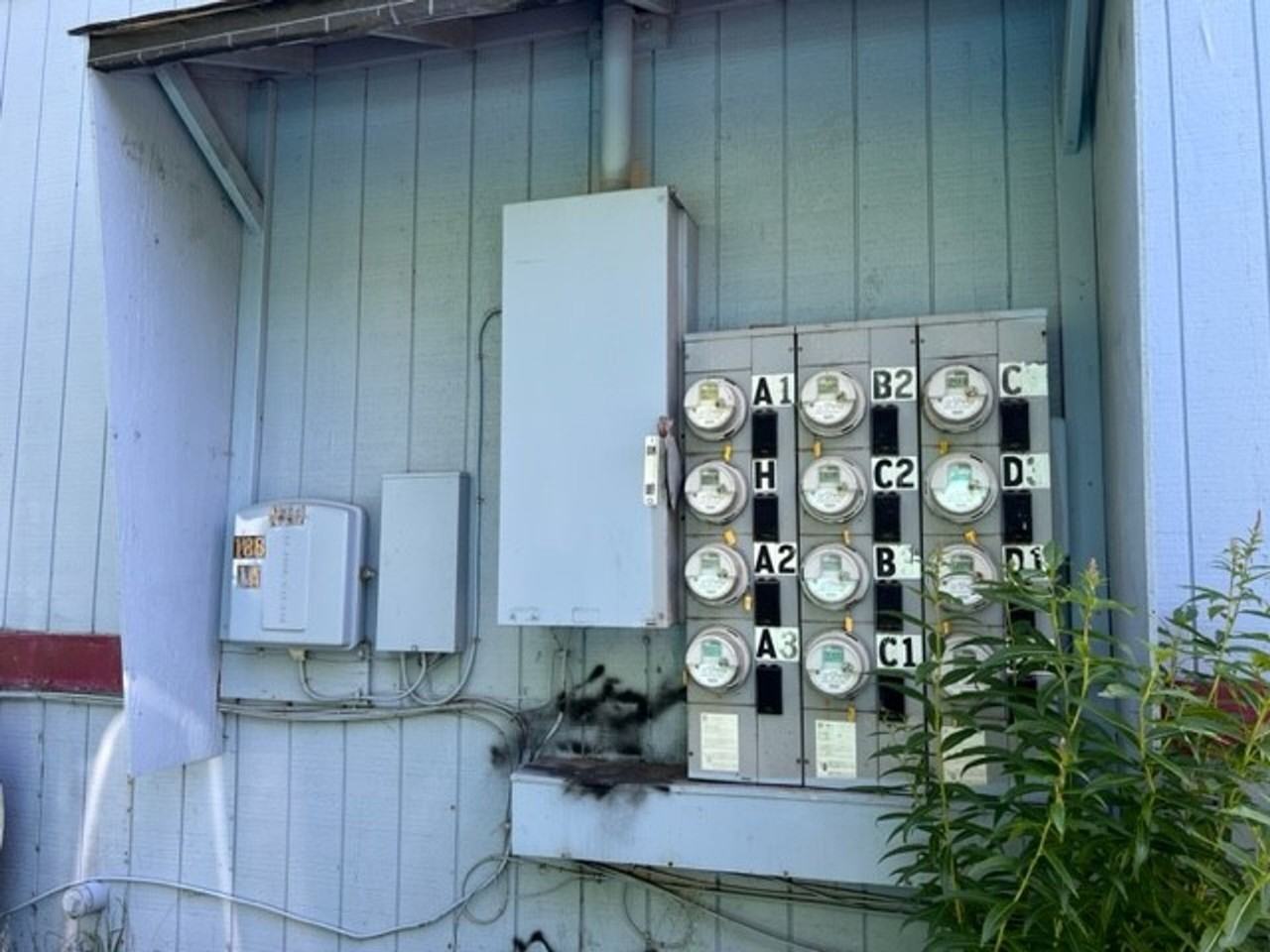 1113 Selief Lane - Photo 3 of 12