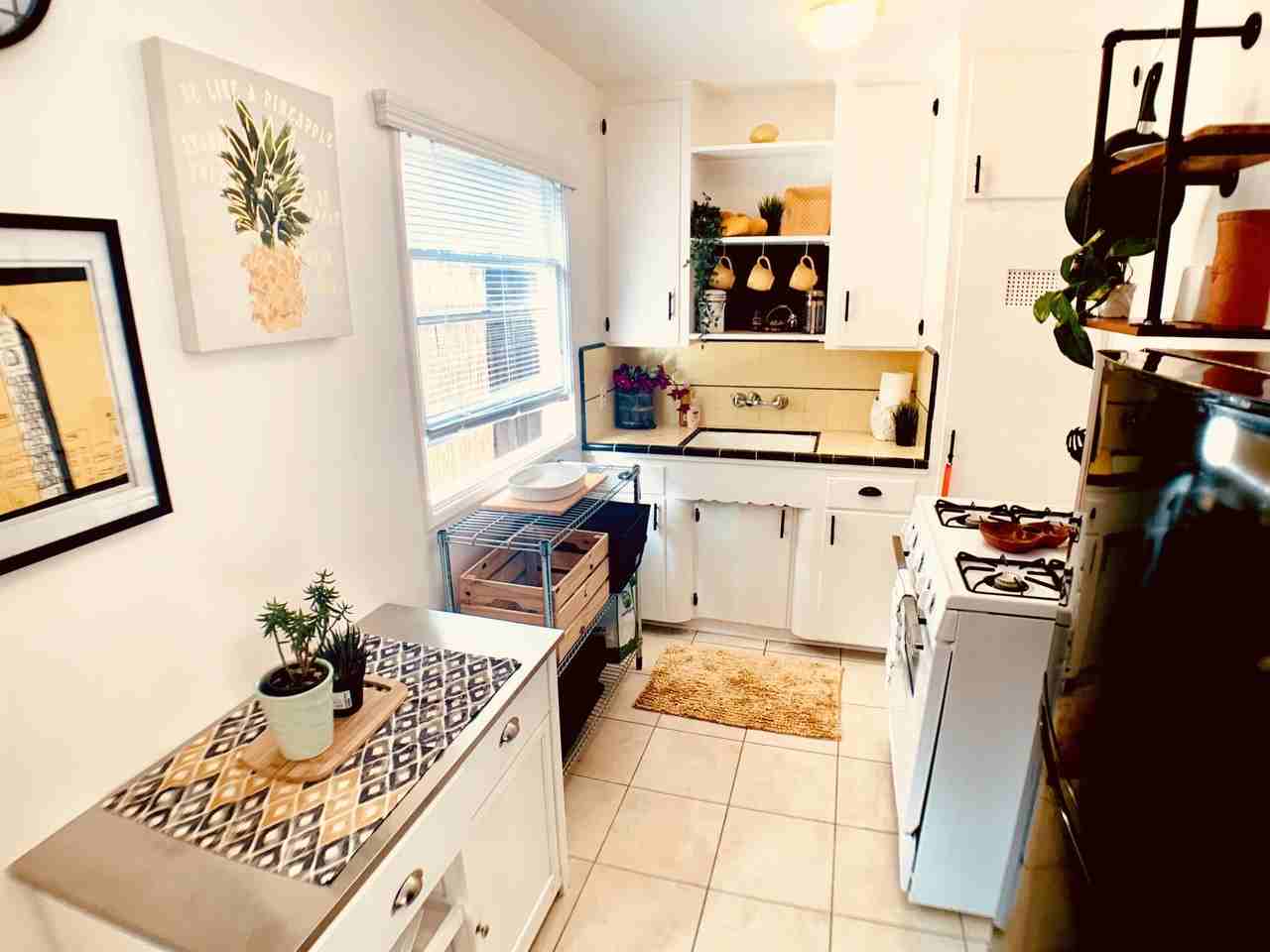 Wilson - Photo 3 of 34