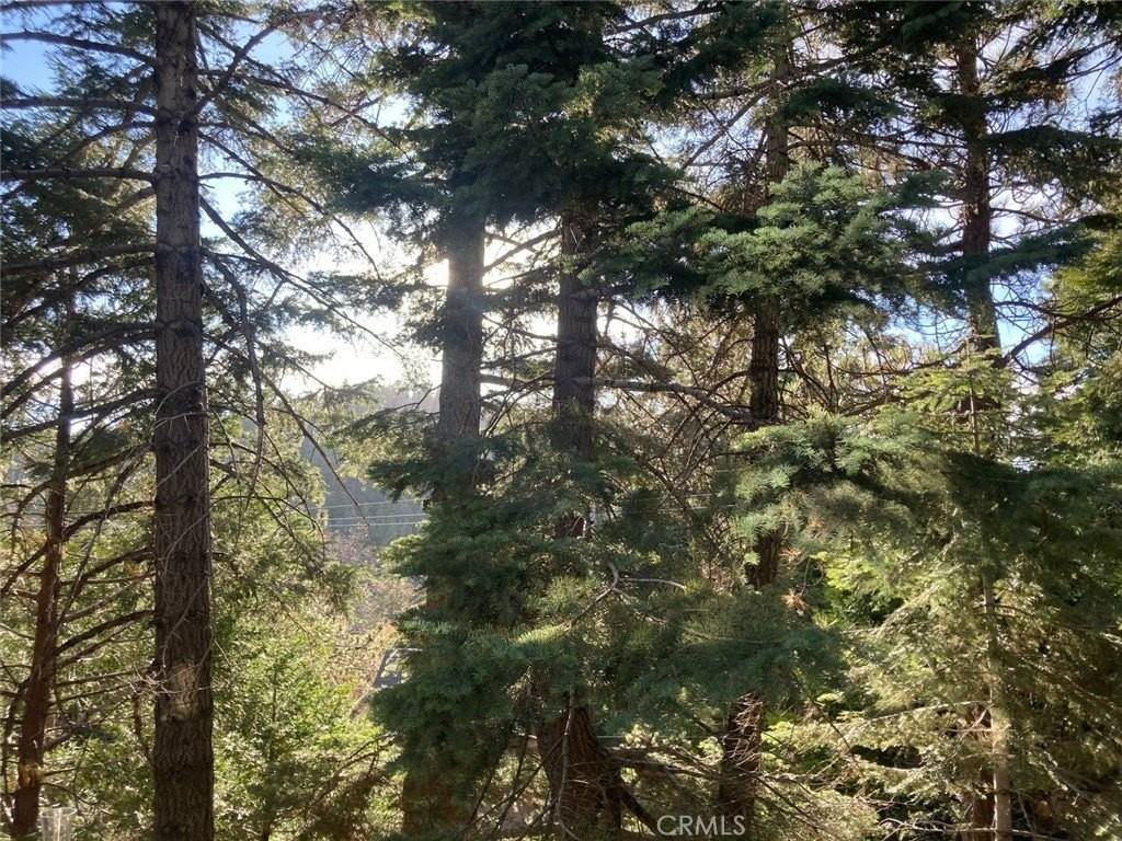 28943 Potomac Drive - Photo 3 of 28