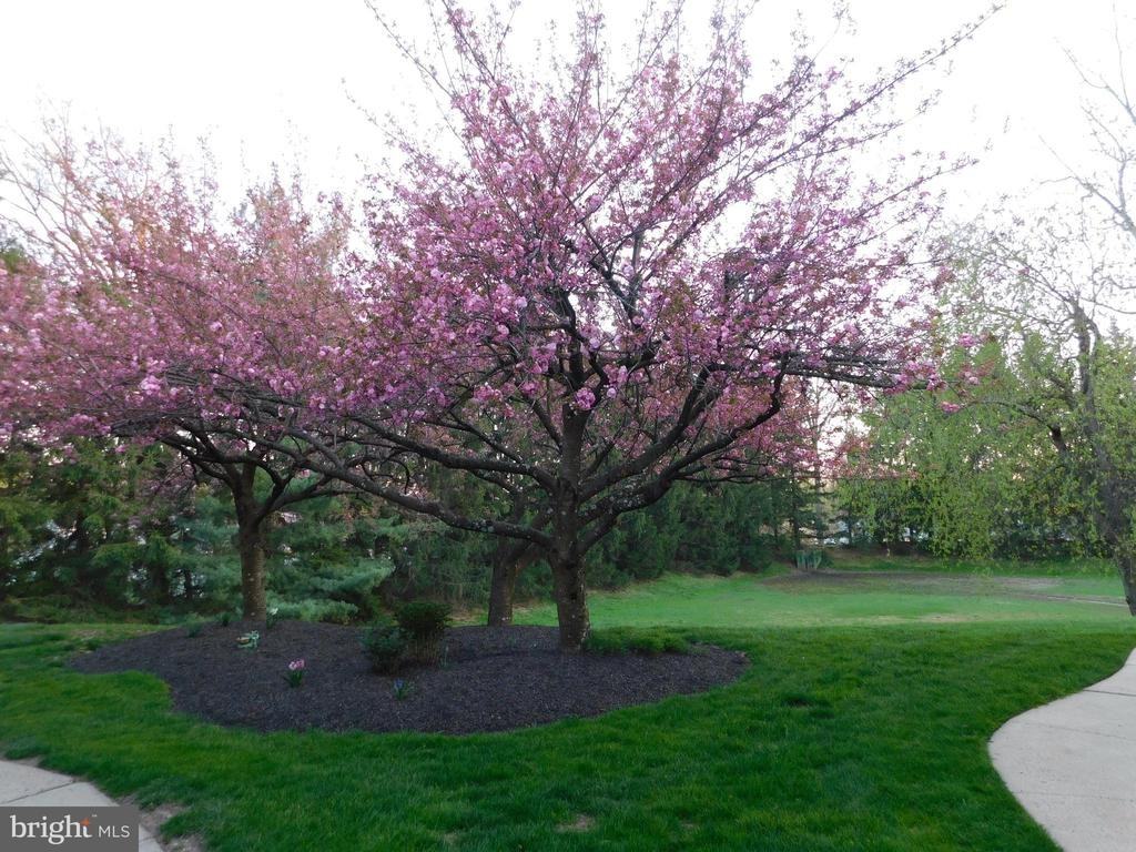 807 Steamboat Sta - Photo 6 of 24