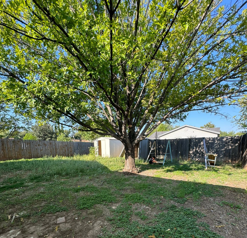 1026 Almond Cir - Photo 6 of 8