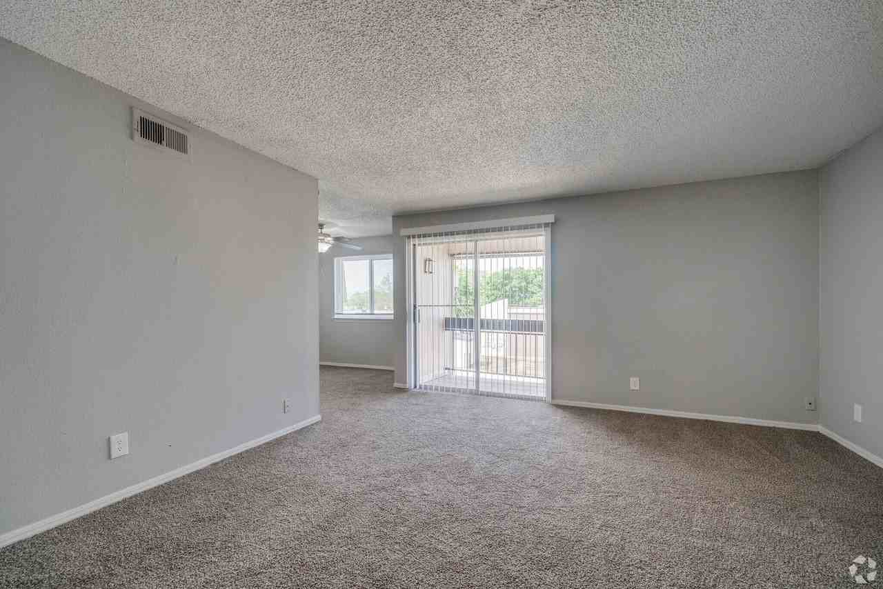 WIN @ Brady - Photo 3 of 6