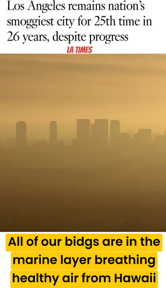 424 Esplanade LLC - Photo 3 of 16