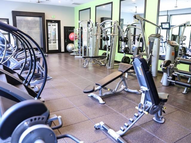 The Connection - Photo 4 of 47