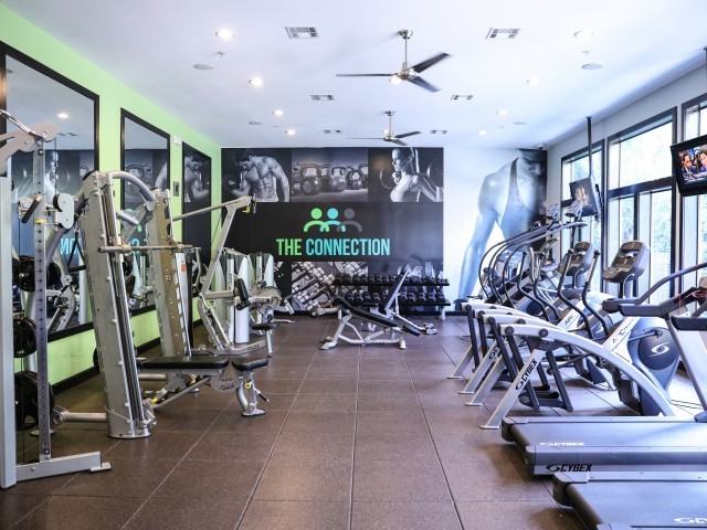 The Connection - Photo 5 of 47