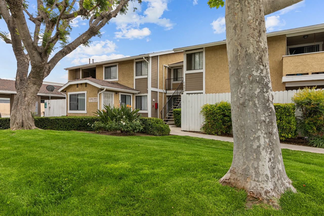 Cerro Vista - Photo 3 of 38