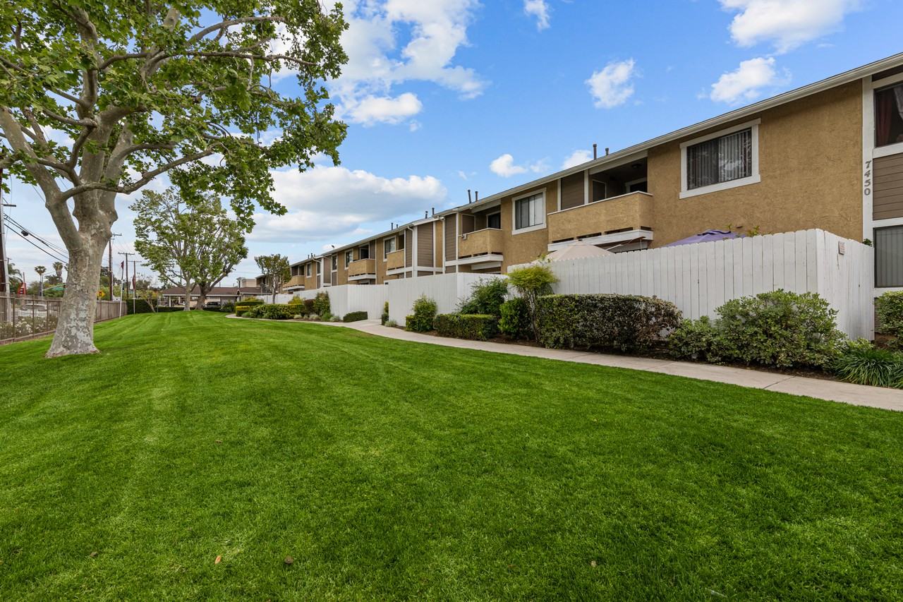 Cerro Vista - Photo 4 of 38