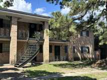 Tree Top - Photo 1 of 1