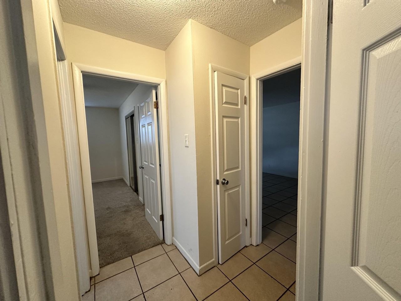 Tree Top - Photo 6 of 10