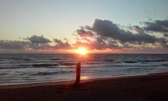 featured image of 9417 South Ocean Drive #37