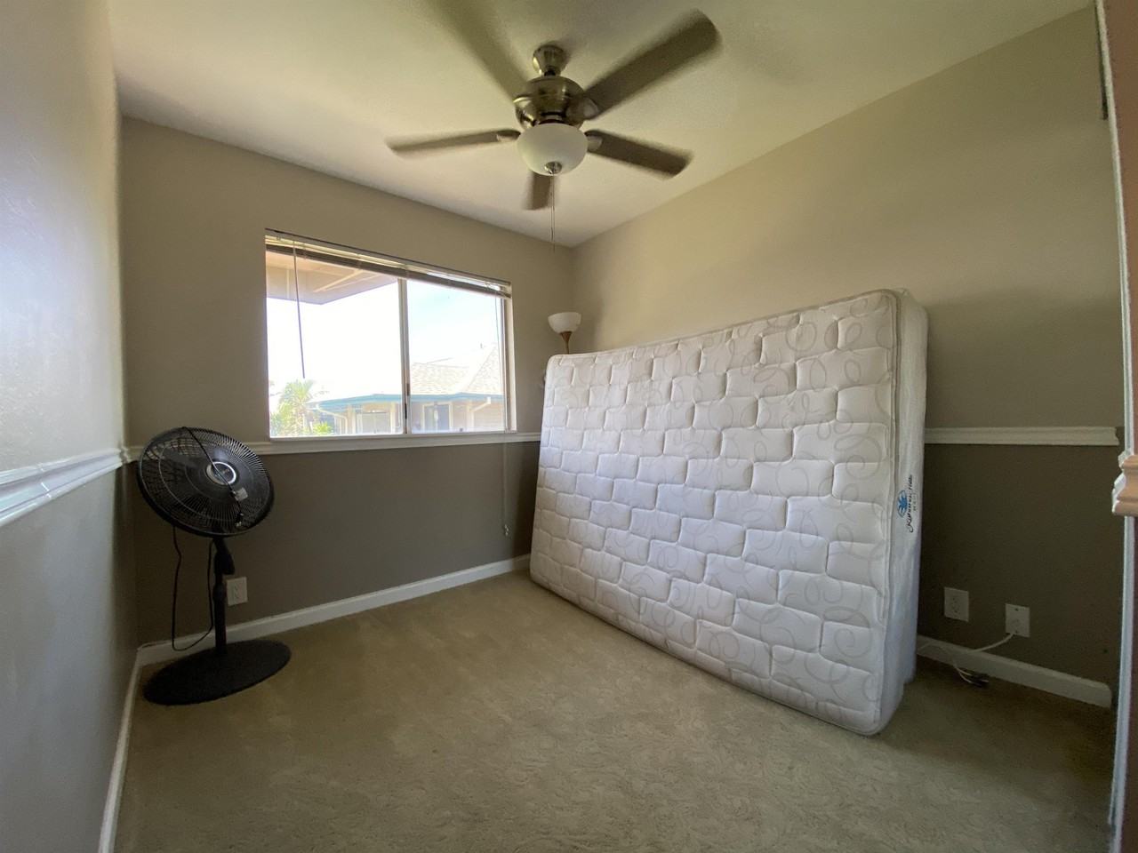 480 Kenolio Rd #1-203 - Photo 7 of 12