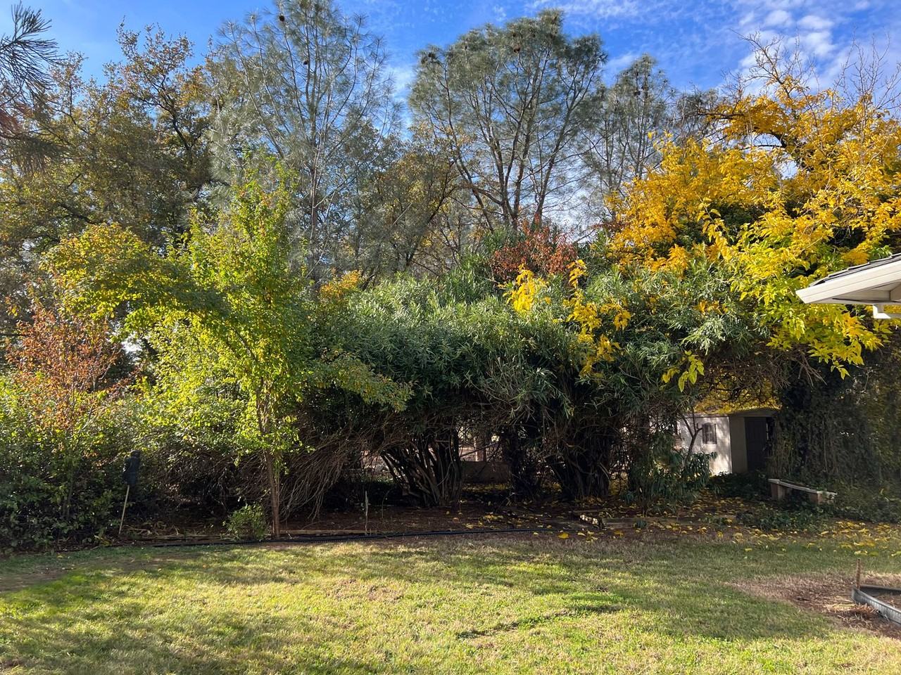 9866 Hillview Dr - Photo 4 of 42
