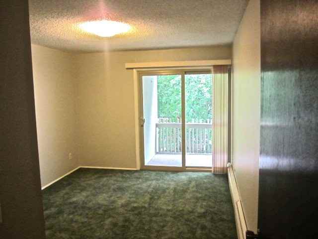 2707 Valmont Rd #207D - Photo 4 of 16