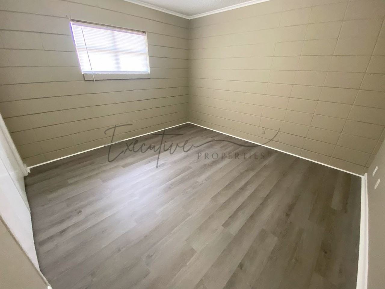 419 Clarence Street #3 - Photo 7 of 11