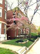 3016 Saint Paul Street - Photo 1 of 1