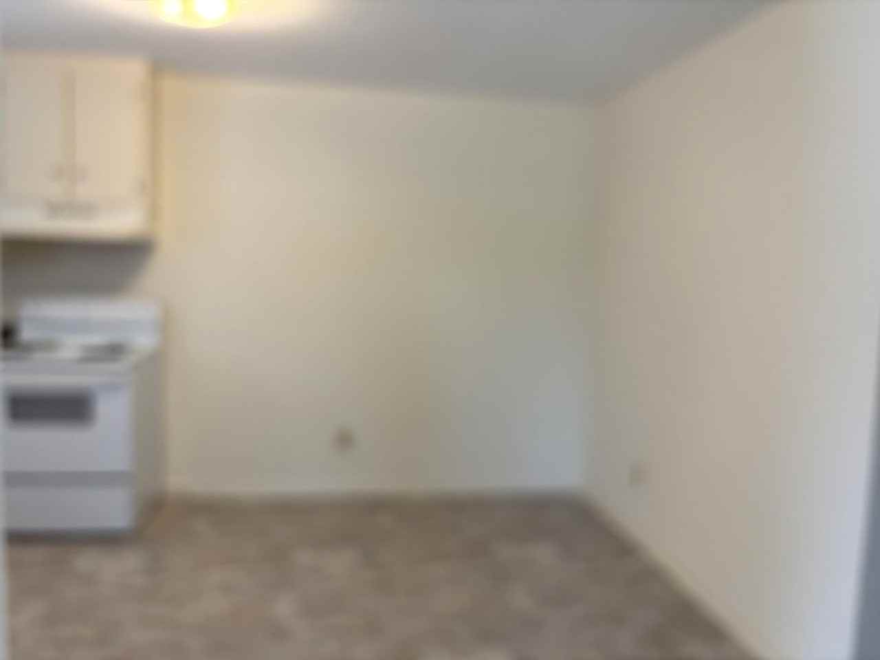 501B Live Oak St - Photo 6 of 14