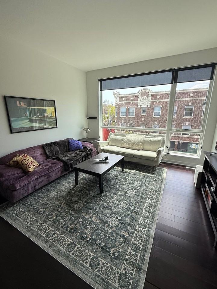 1244 W. Devon - Photo 6 of 19