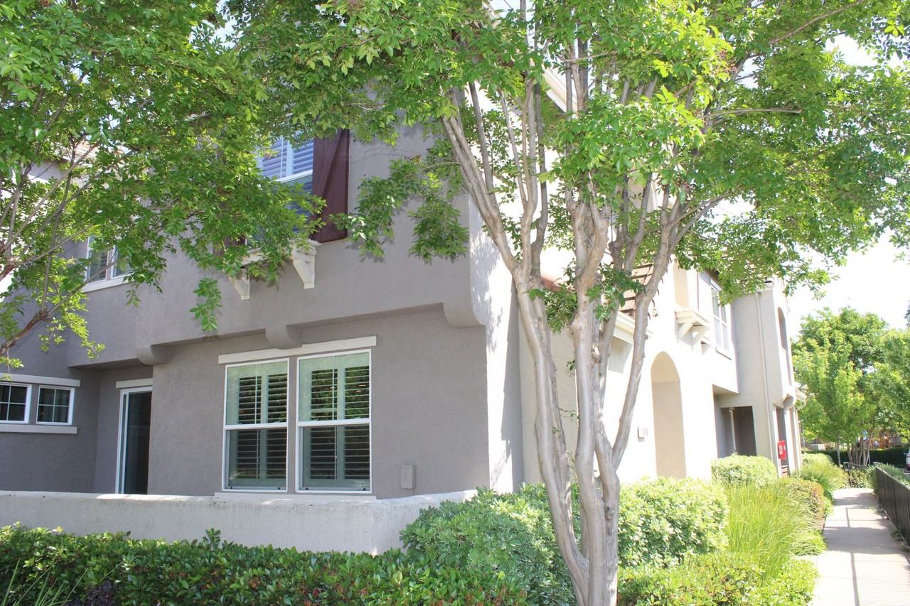1808 Dante Cir - Photo 2 of 19